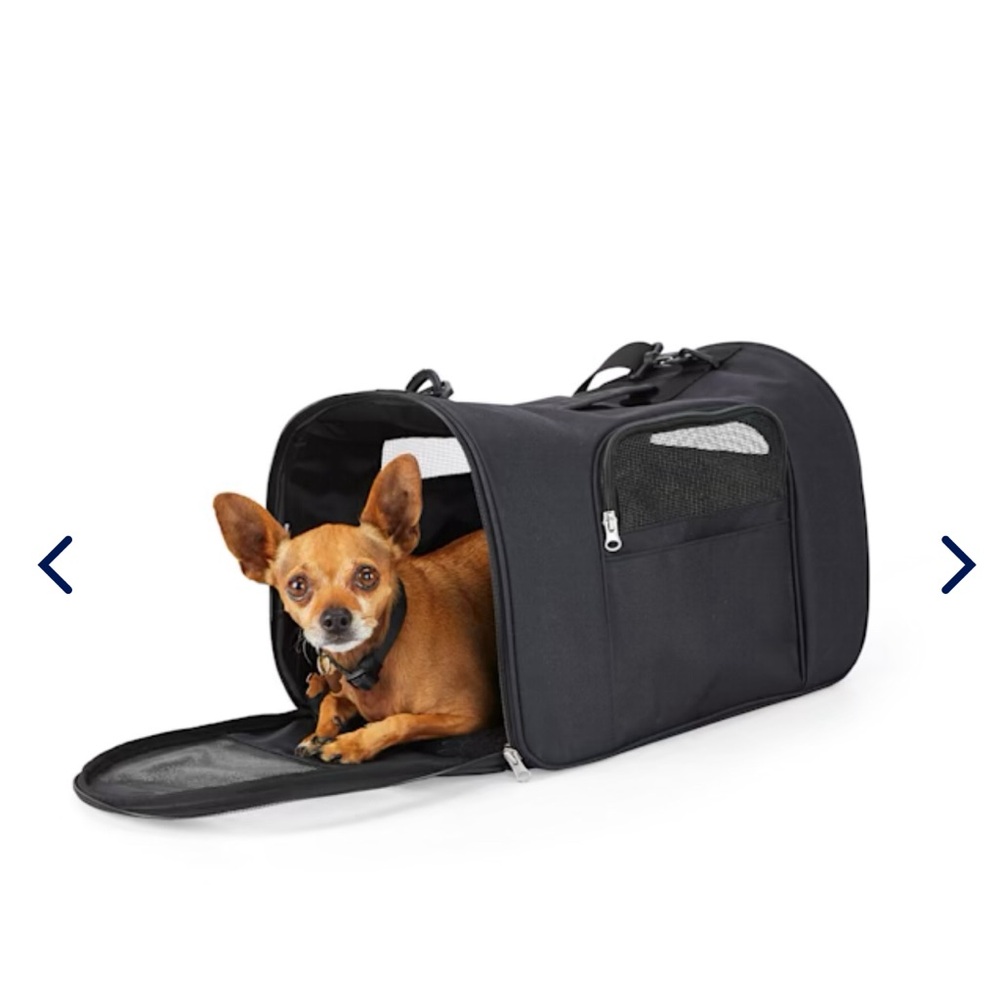 EveryYay pet carrier